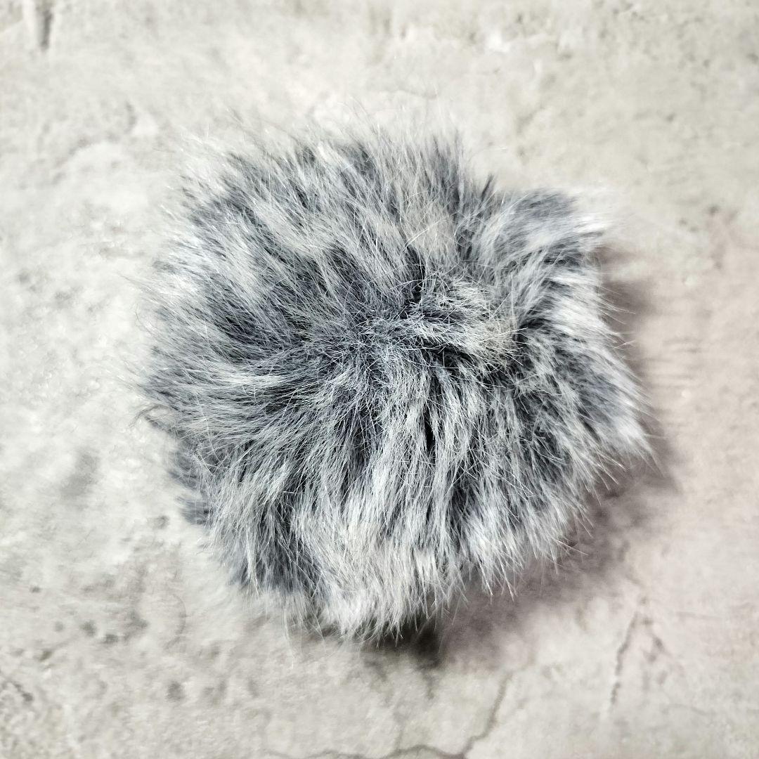 Canon サラウンドマイクロホン SM-V1