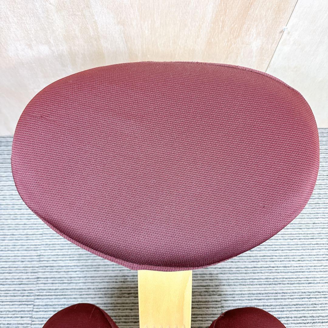 美品 バランスイージー ブラウン 撥水カバー付き サカモトハウス