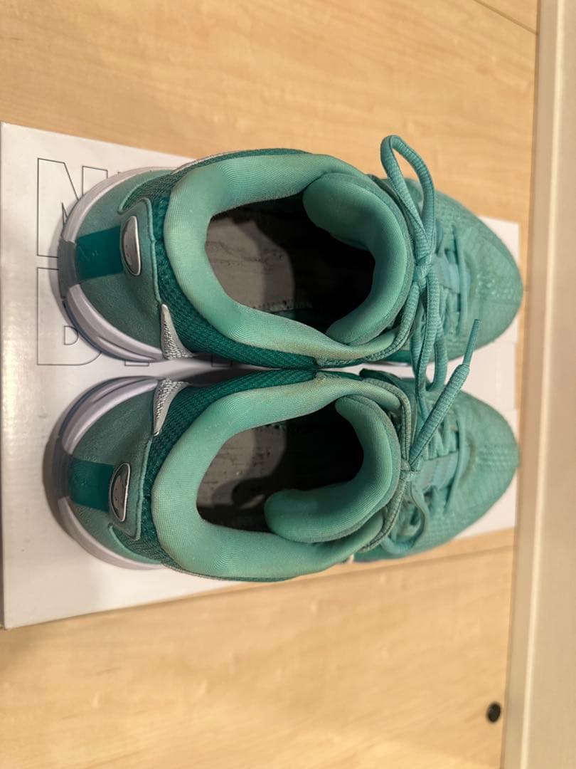 シューズ(男性用) Sabrina1 28cm (Nike By you)