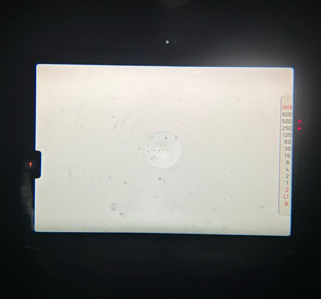 ＜動作＞CONTAX 137 MD QUARTZ 黒