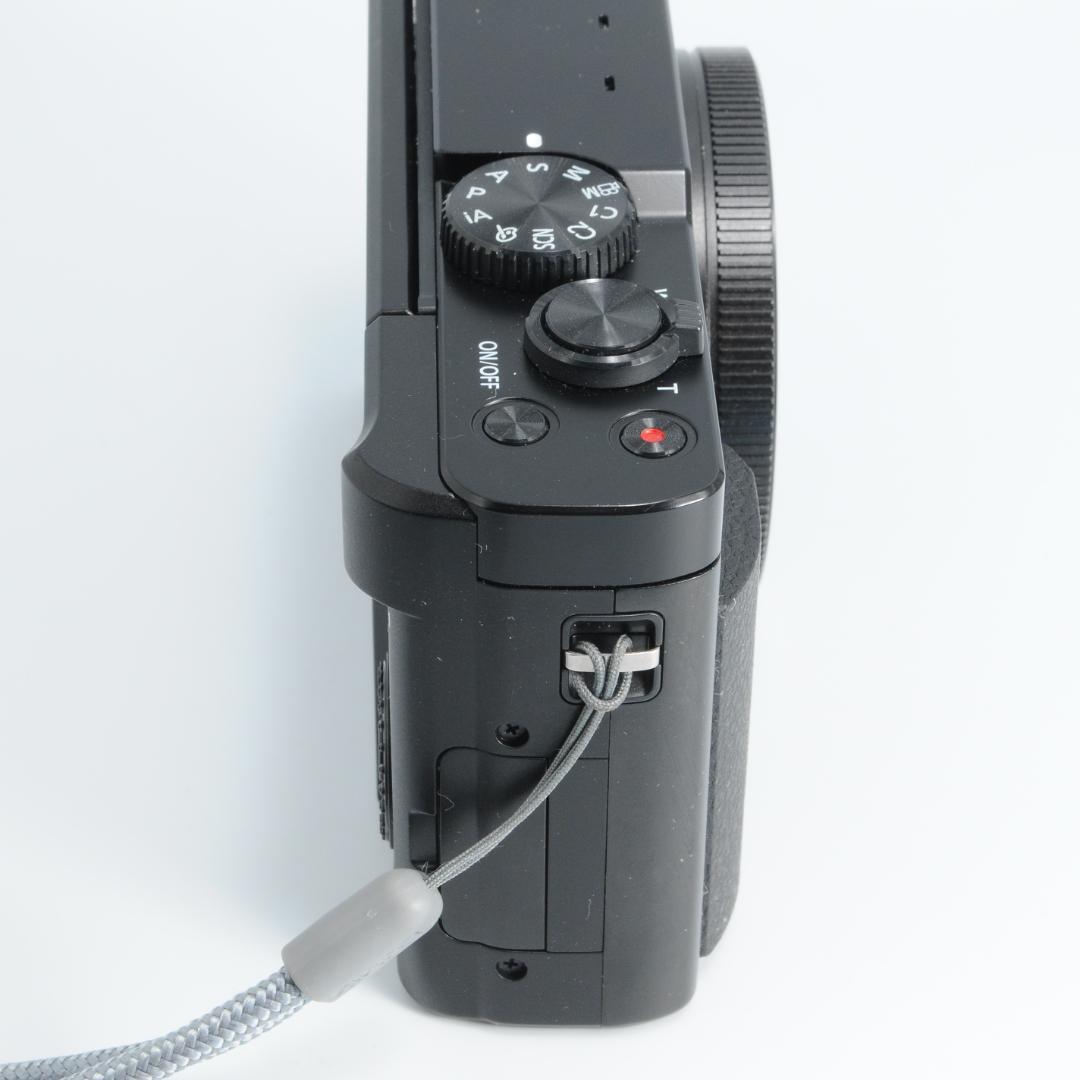 ★極美品★LUMIX ルミックス DC-ZS99 ブラック 元箱付き TZ99