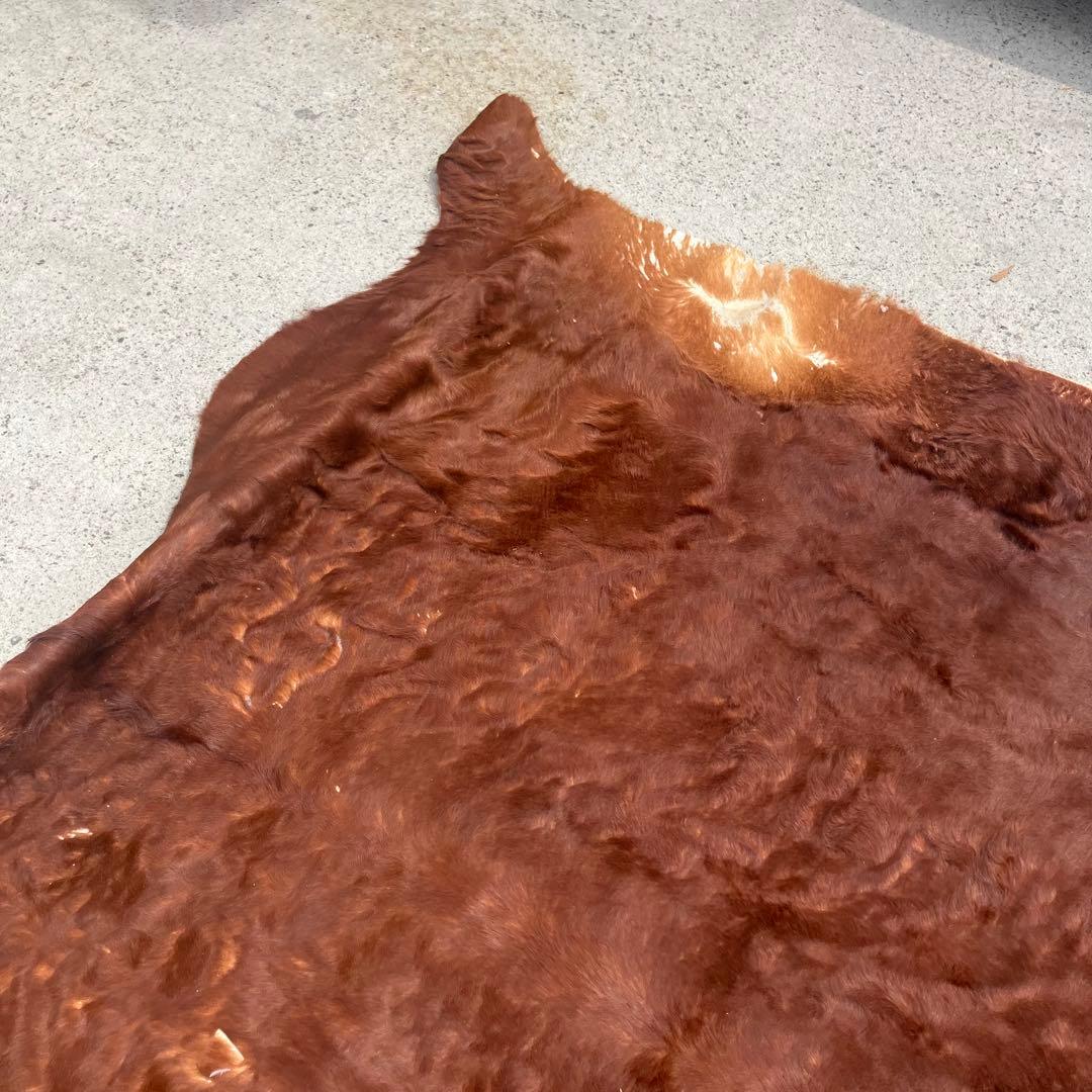 ヴィンテージ 大型 カウラグ 牛毛皮 敷物 絨毯 ラグマット アンティーク古道具