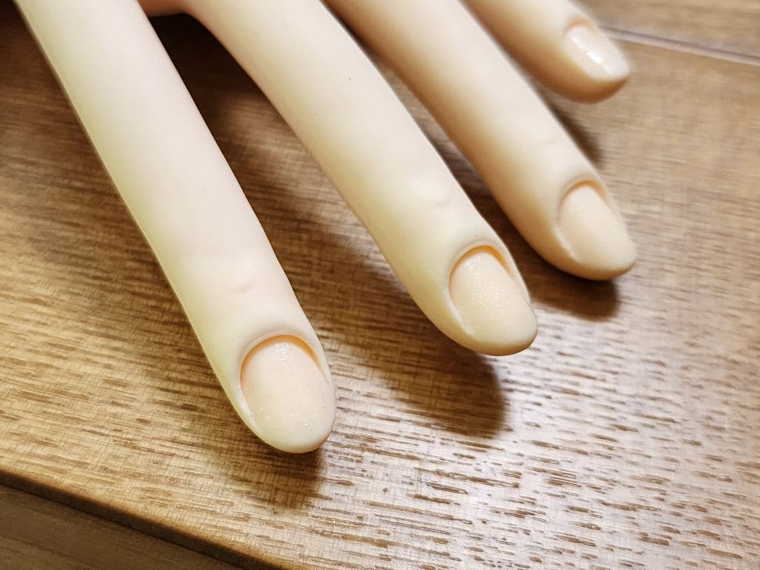 ネイリスト技能検定試験用 JNEC認定モデルハンド おまけ専用チップ付き