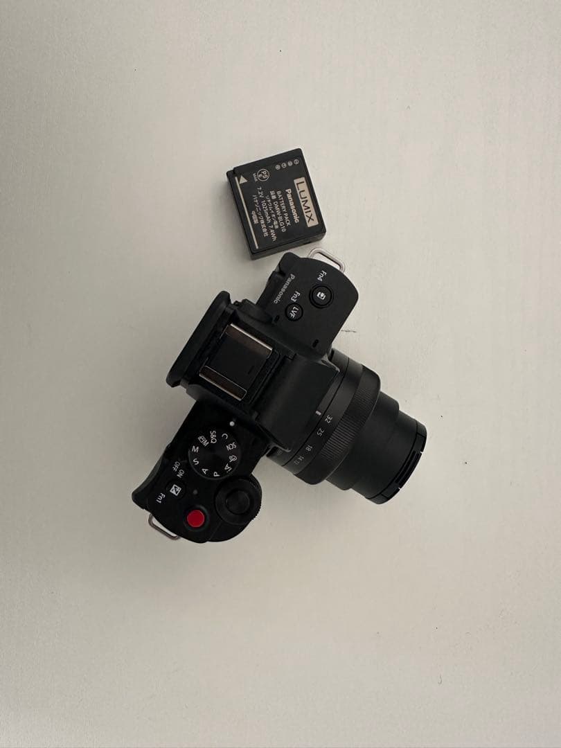 デジタルカメラ LUMIX DC-G100V