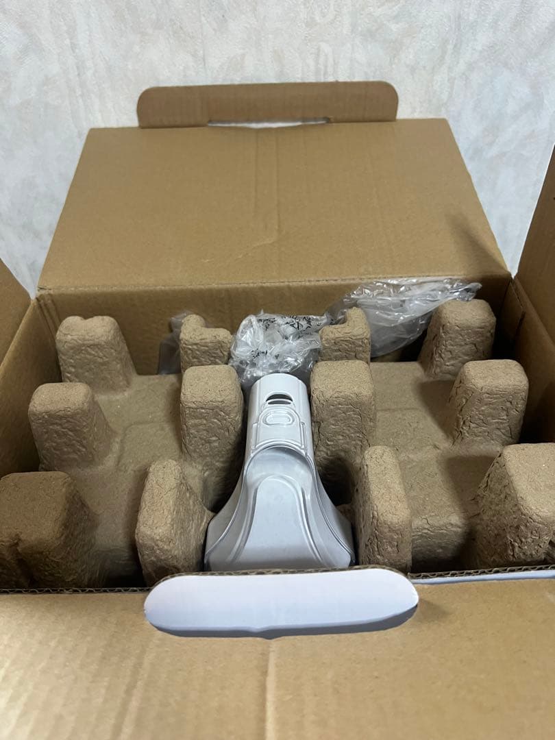 IRIS OHYAMA RNS-P10-W カーペット水洗いクリーナー