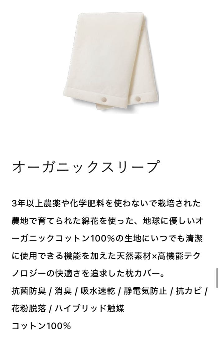 【美品】ブレインスリープ ピロー キッズ / ほぼ未使用 / 専用バッグ付