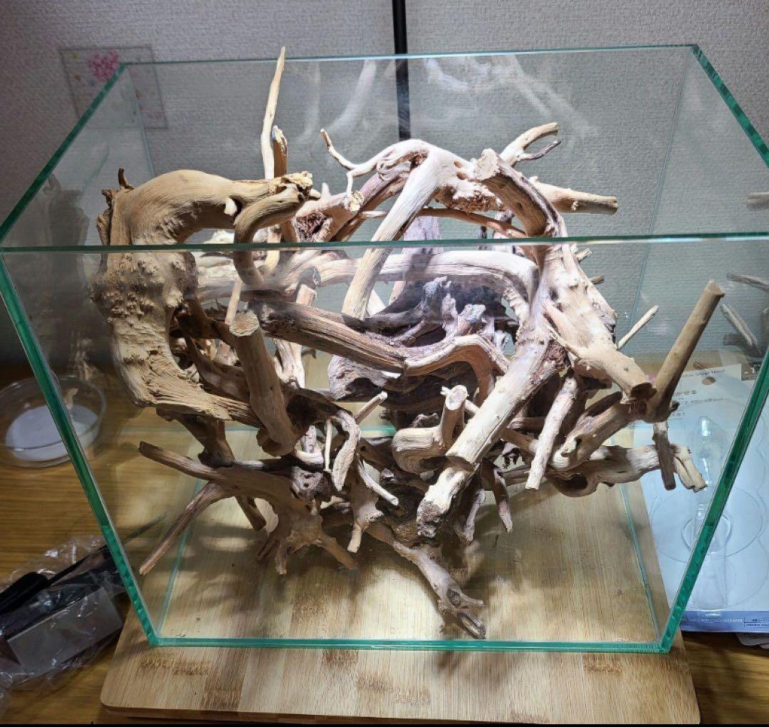 ブランチウッド　17点 まとめ品　未使用品