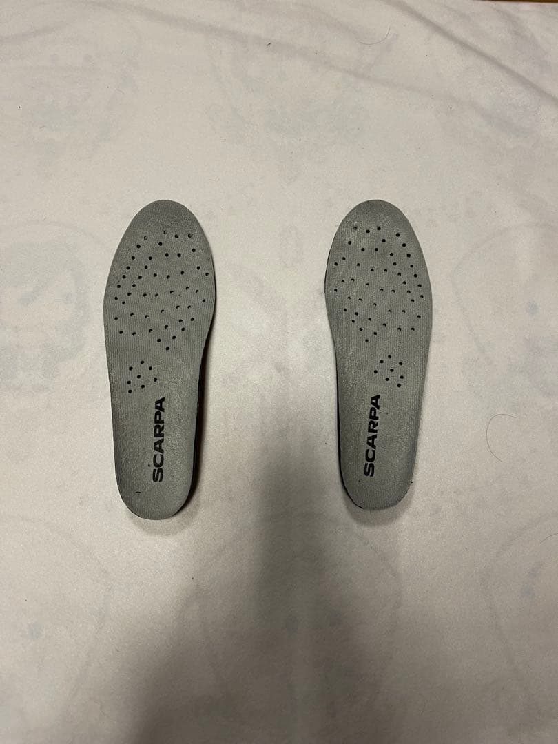 SCARPA TX-PRO女性用 NTNテレマークブーツ 23.5cm