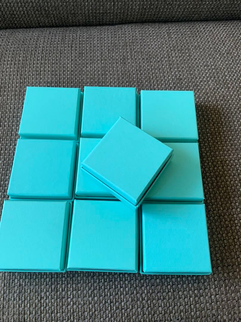 国内正方形 美品 空箱　保存袋10セット