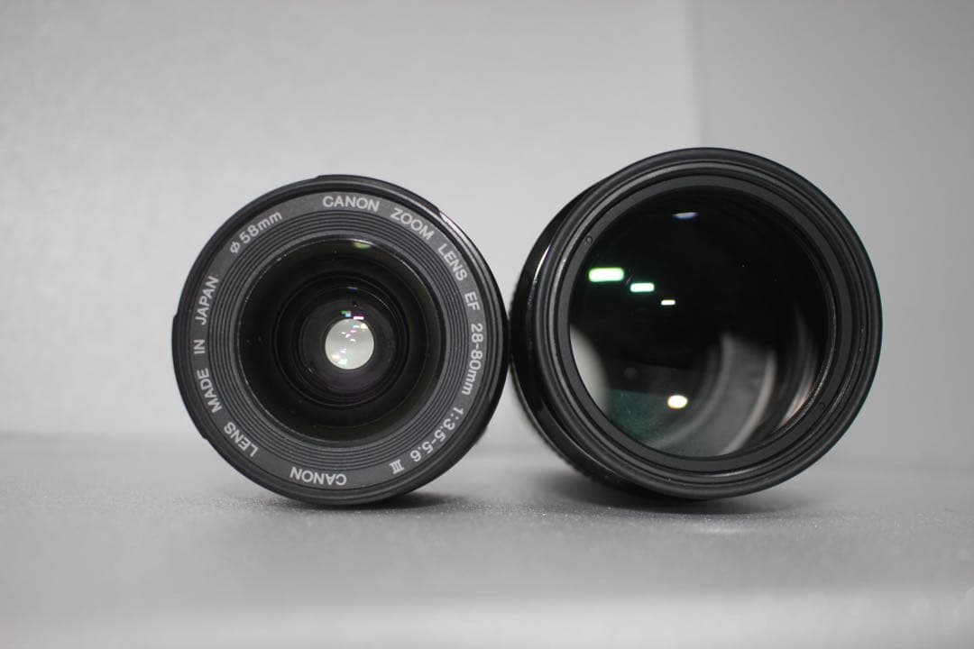 一眼レフ　Canon EOS 6D Mark II標準&望遠ダブルレンズセット