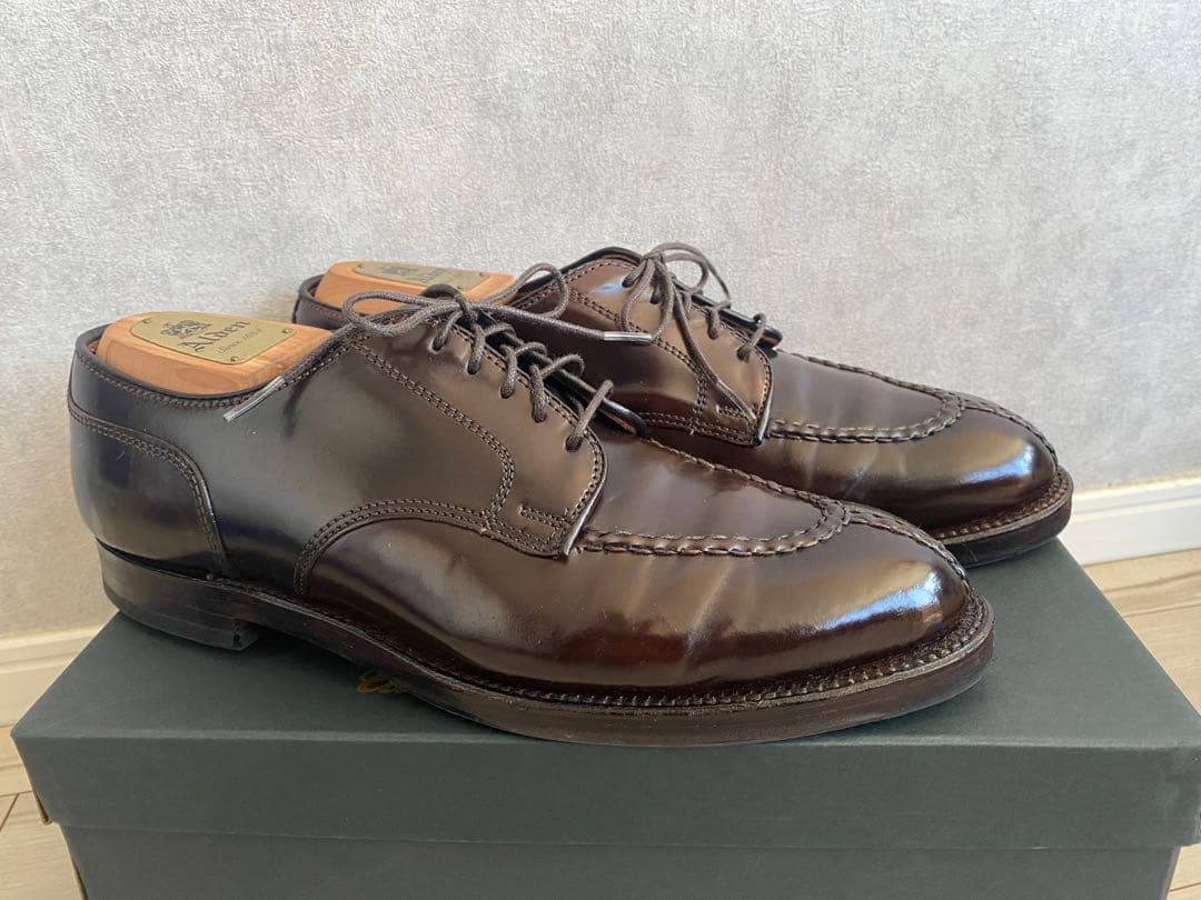 ALDEN #22220 NSTシガーコードバン　8E