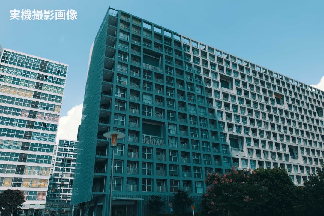 【良美品】LUMIX S9 標準ズームレンズキット 20-60mm｜付属品完備