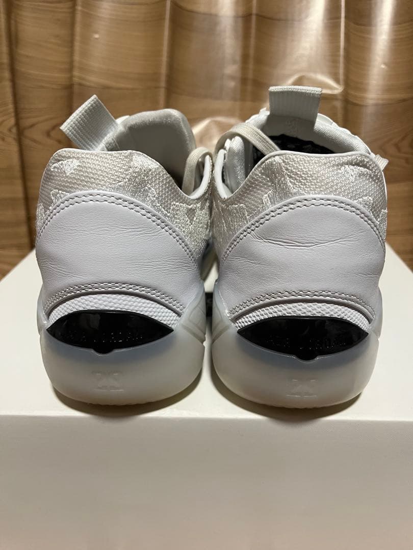 シューズ(男性用) AIR JORDAN 39