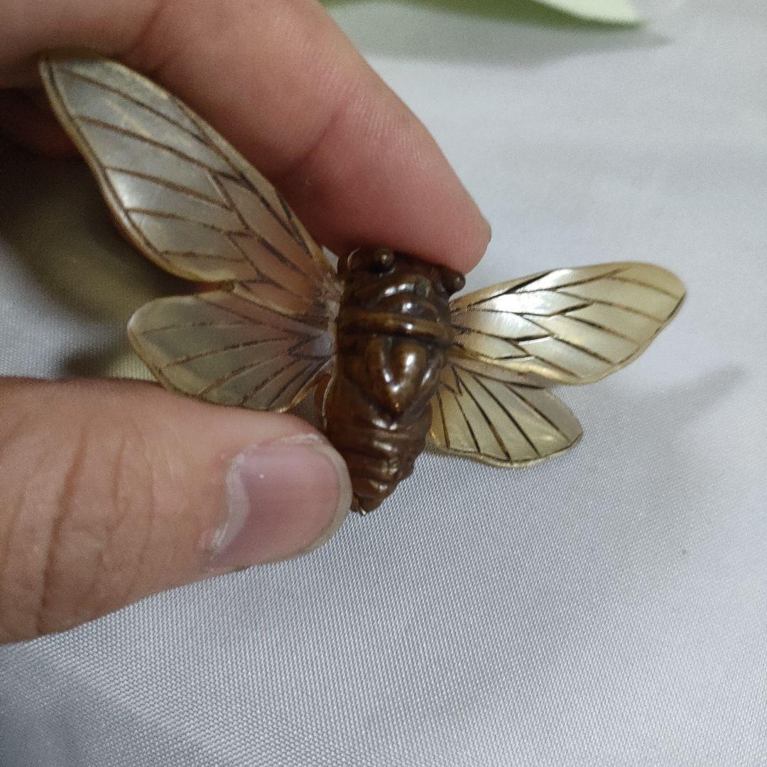 P5 超美品　OSTIA 　オスティア　せみ　イギリス　水牛の角　ブローチ