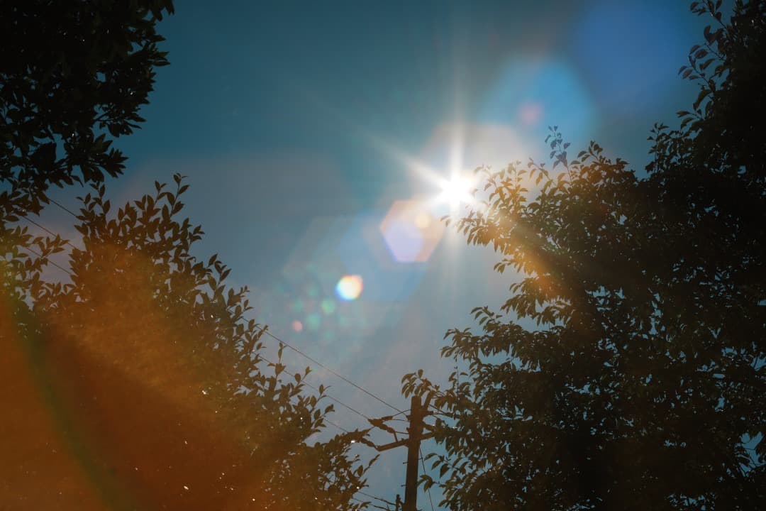 希少8枚玉 ペンタックス Super Takumar 50mm F1.4 530