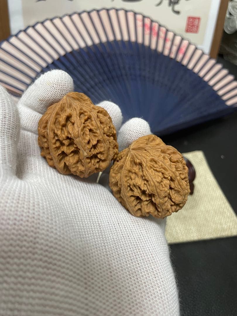 キャニオン　クルミ A028、216、247、A015