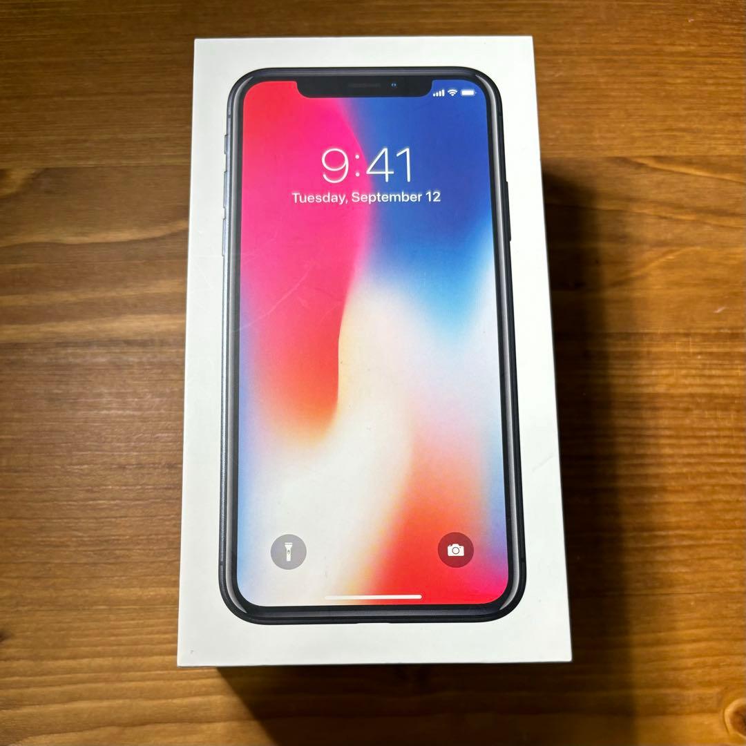 iPhone X 256GB SIMフリー【箱・純正充電器・ケース付き】