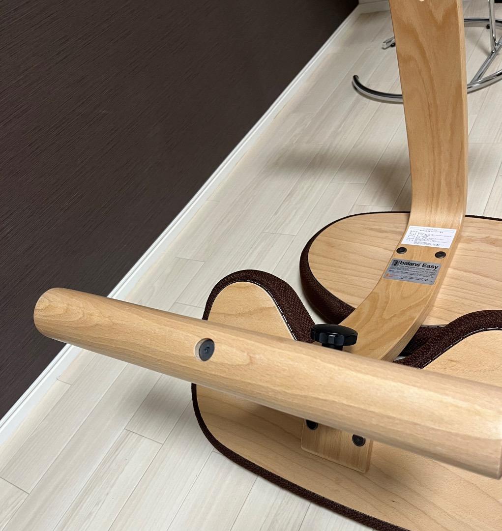 極美品　未使用　balans Easy バランスイージー 専用カバー付き