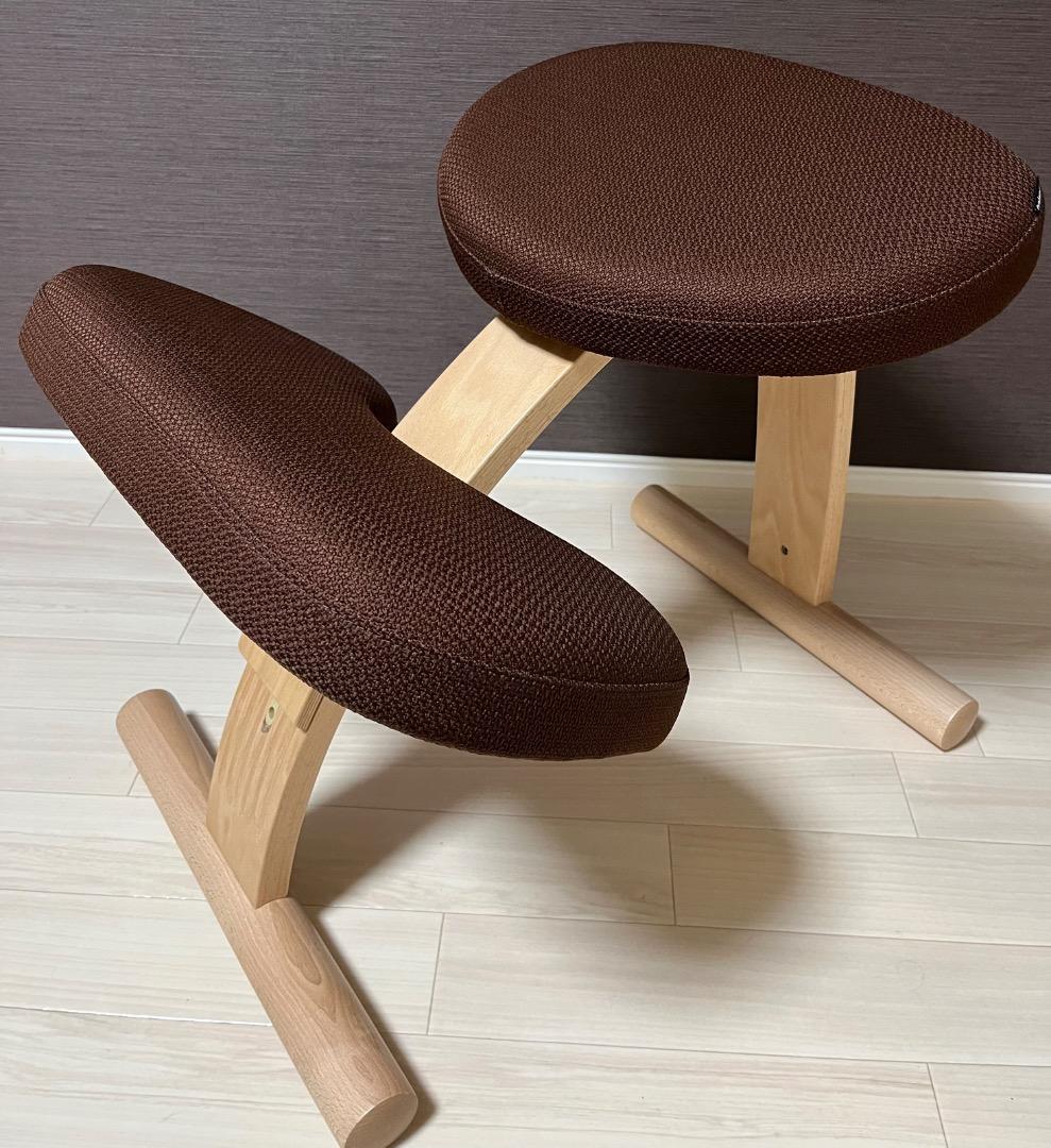 極美品　未使用　balans Easy バランスイージー 専用カバー付き