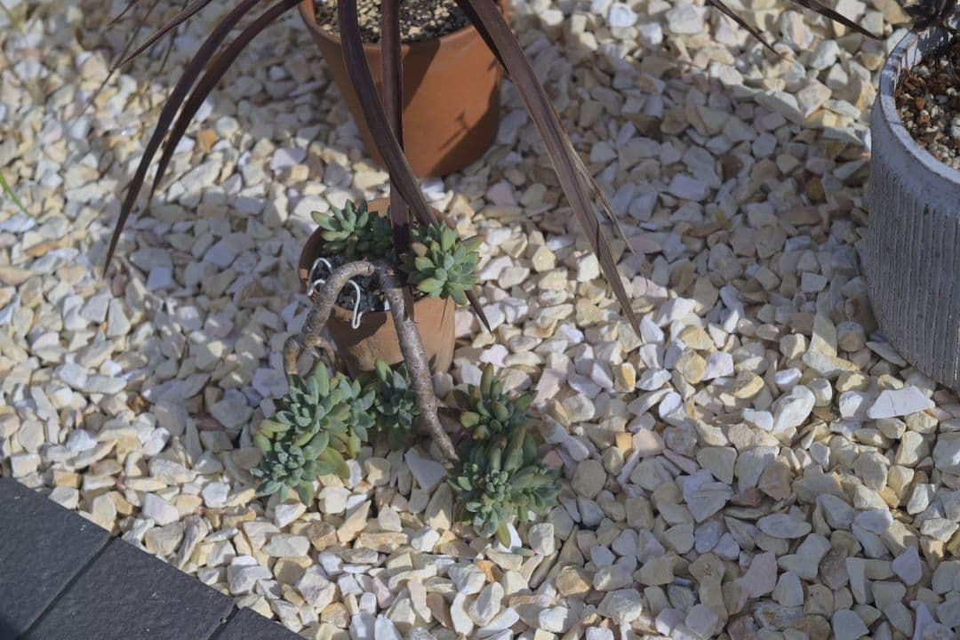 Ernst Leitz Elmar 5cm f2.8 L39マウント