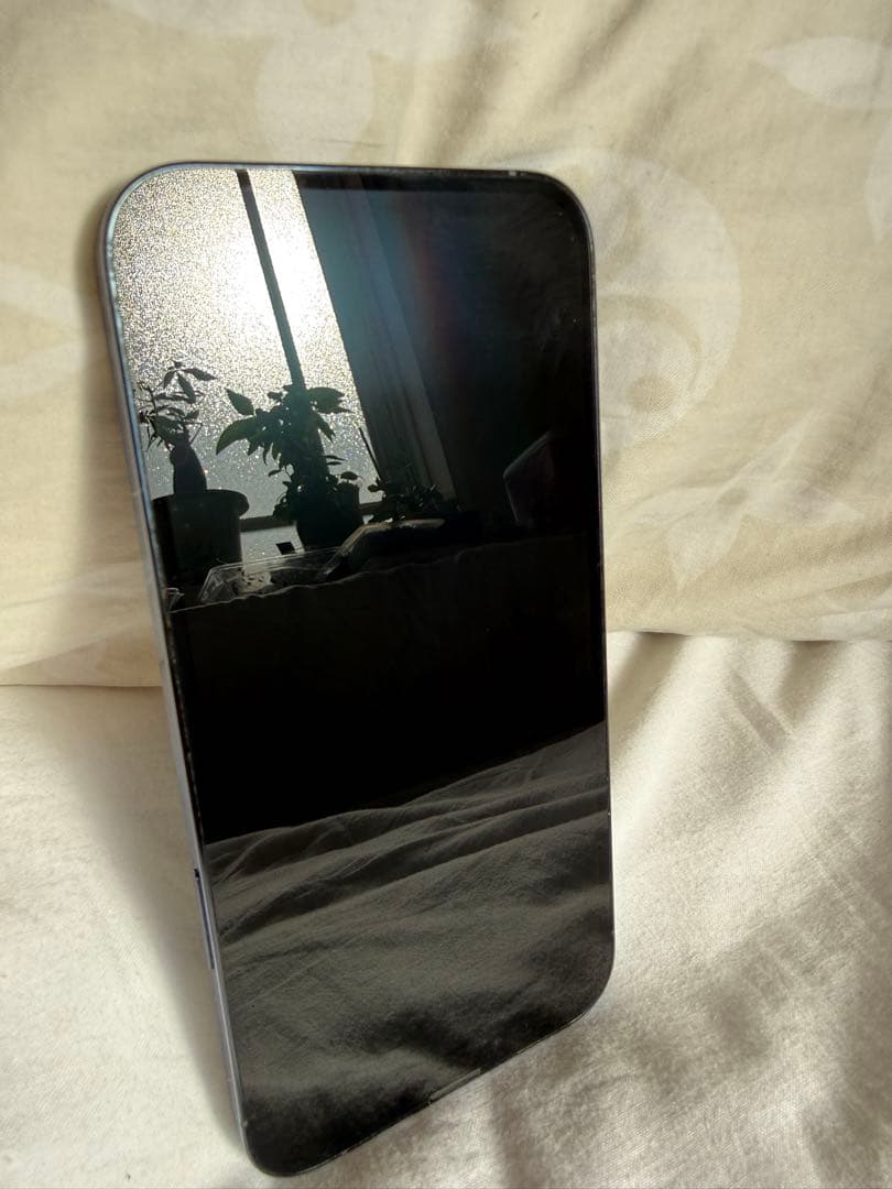 即日発送！超美品Apple iPhone 13 Pro MAX 256GB 本体