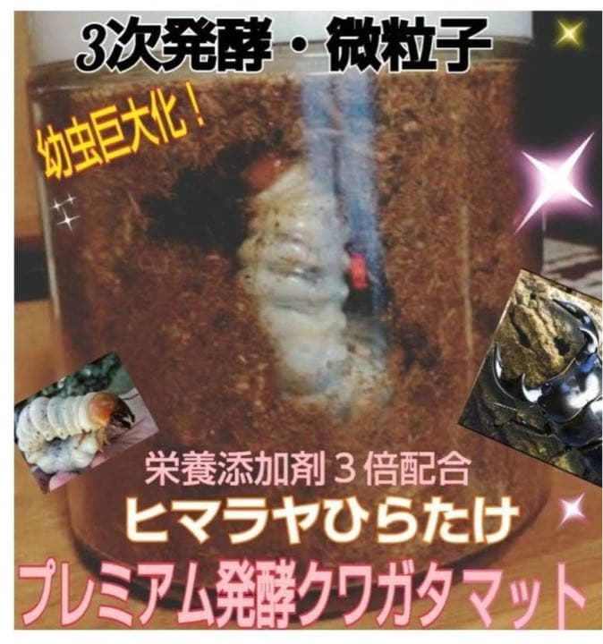 ミヤマクワガタ、ノコギリ幼虫に抜群！800mlボトル入プレミアム発酵マット15本