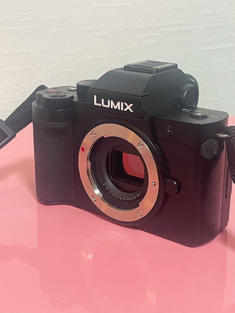 Panasonic LUMIX G100 DC-G100 ダブルズームキット