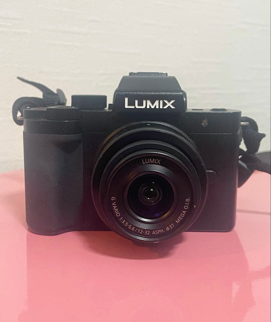 Panasonic LUMIX G100 DC-G100 ダブルズームキット