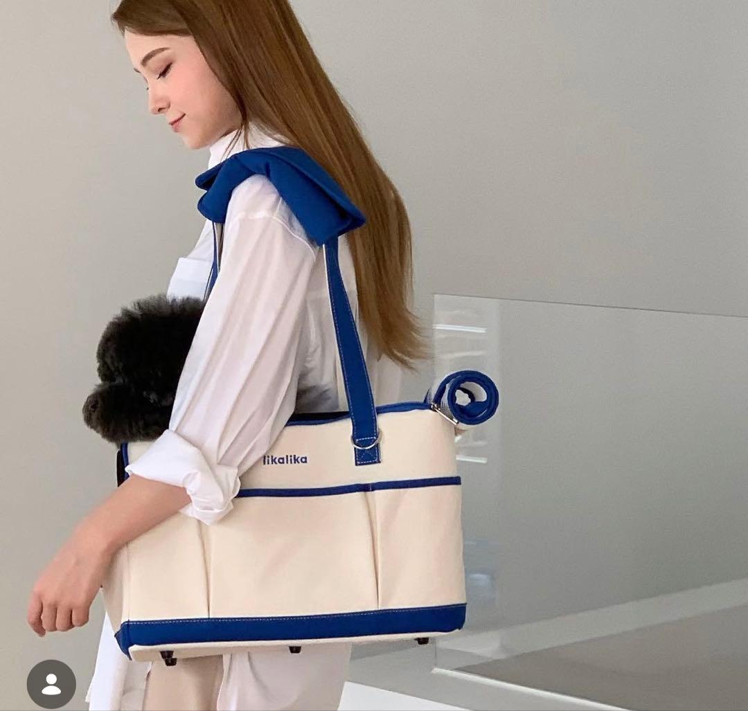 likalika 韓国　キャリーバッグ