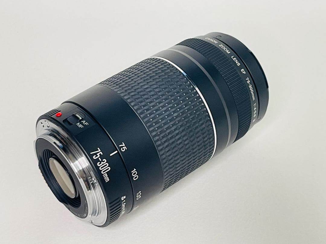 【完動品】 Canon EF 75-300mm F4-5.6 III 望遠レンズ