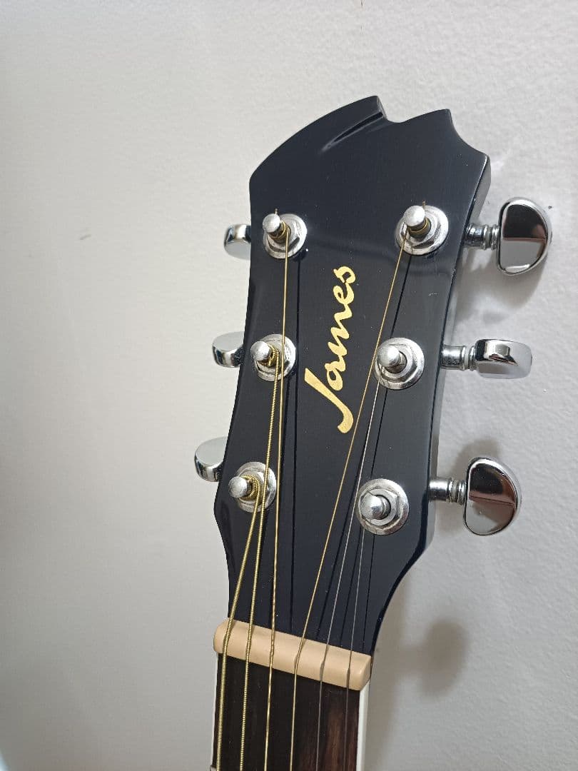 James☆アコースティックギタ☆ブルー ギター