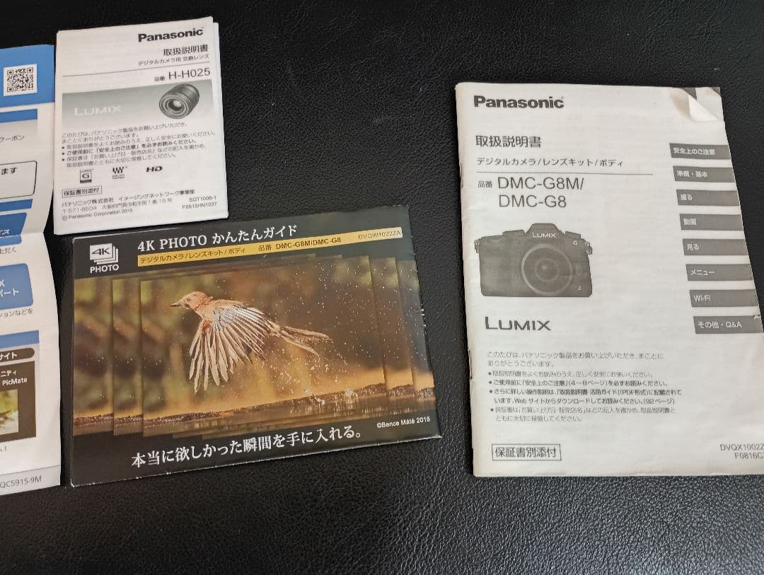 カメラ　Panasonic DMC-G8M + レンズ　Pana　H-H025