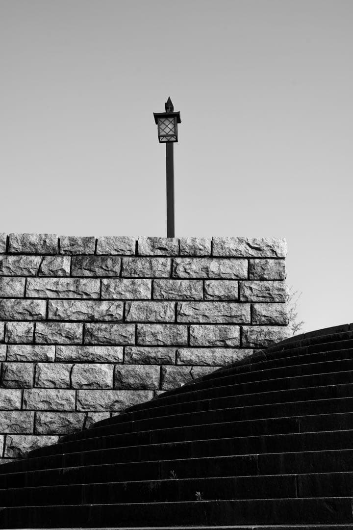 フォクトレンダー Macro Apo-Lanthar 65 mm F2 作例あり