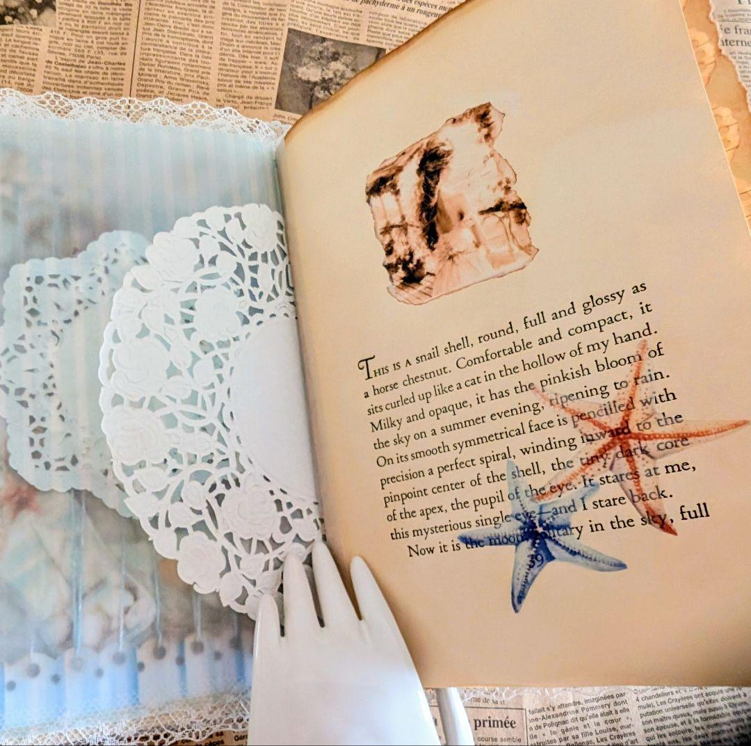 「海からの贈り物」海辺のノスタルジー大型ジャンクジャーナル✨Sunshine✨