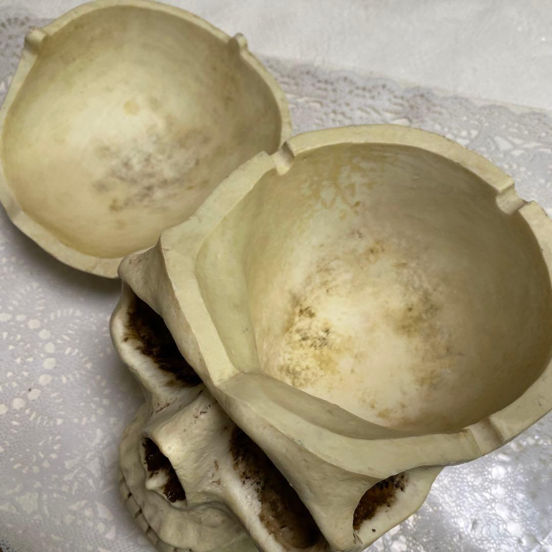 頭蓋骨模型　ガイコツ　置き物　小物入れ