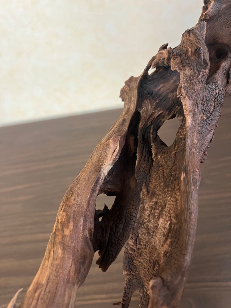 HX-026 流木　ホーンウッド　マシンガンウッド　アクアリウム　ブランチウッド