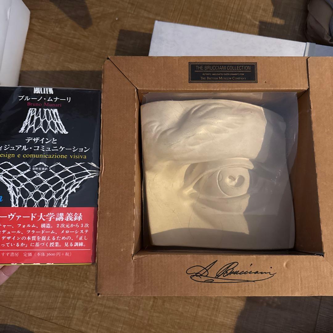 大セール 特大20センチ博物館 The Brucciani Collection