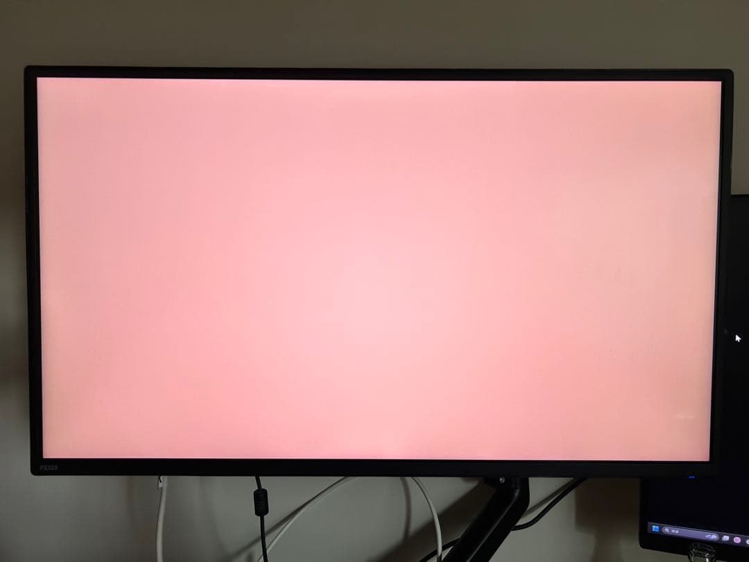 ディスプレイ・モニター本体 Otodus.megalodon