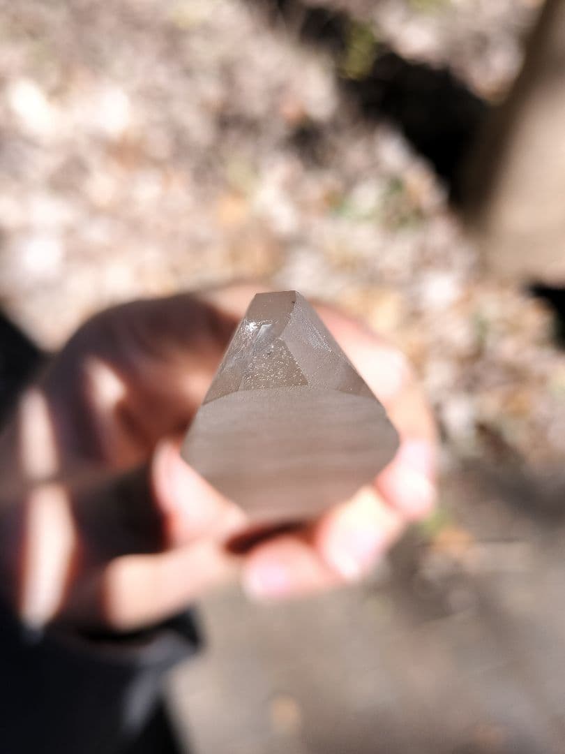 【早いもの勝ち超特価】オールドレムリアン　ピュアレイ