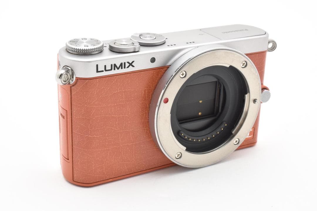 美品 Panasonic DMC-GM1 ショット数525回 1244