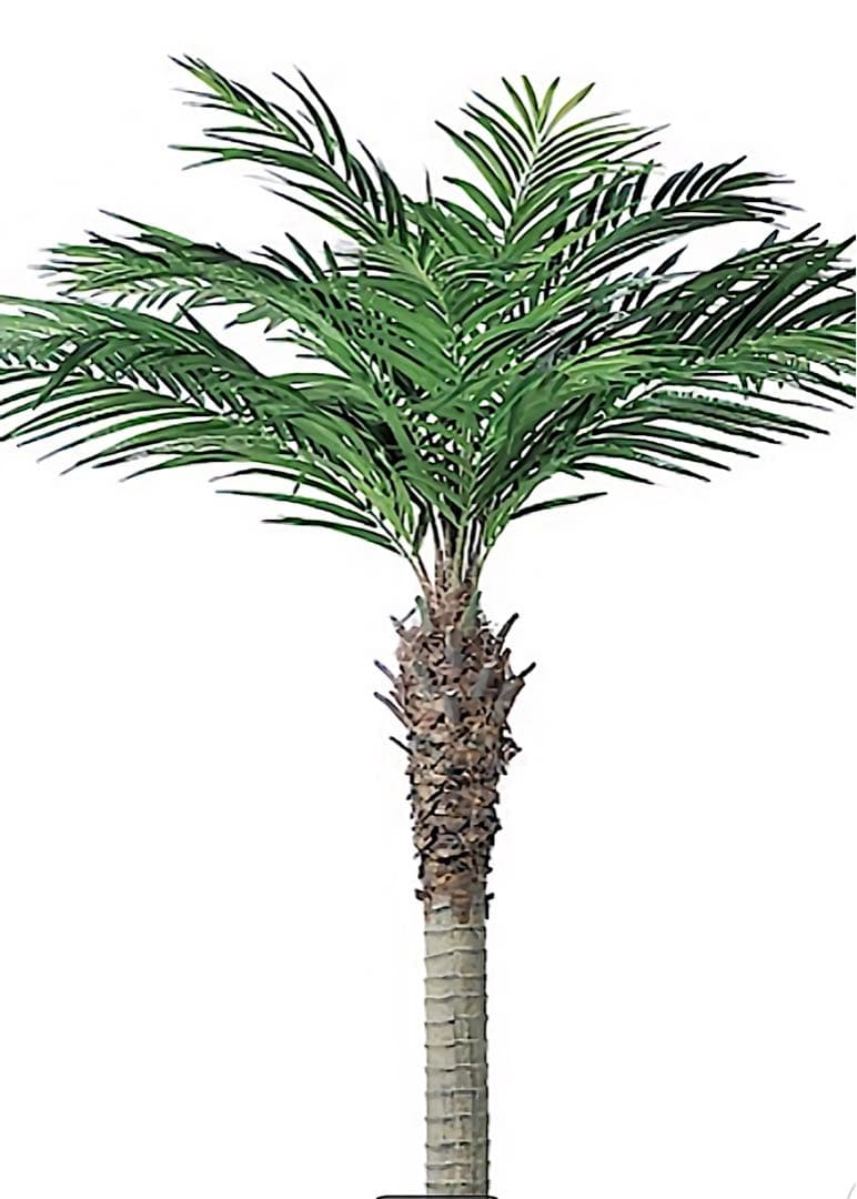 光触媒　人工観葉植物　ウォールグリーン　フェイクグリーン　アレカパームjg