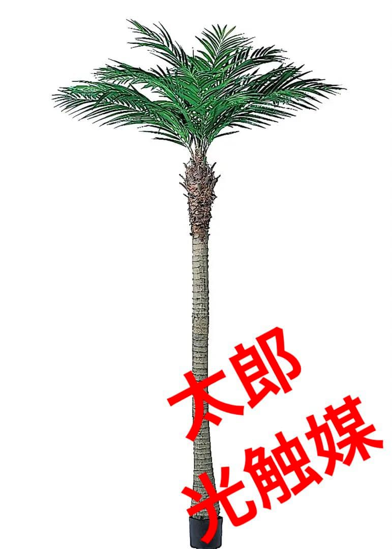 光触媒　人工観葉植物　ウォールグリーン　フェイクグリーン　アレカパームjg