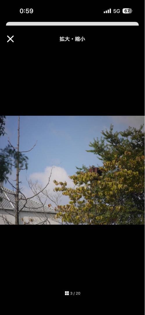 【写ルンです感覚のコンデジ】LUMIX DMC-G1×50mm 2.8