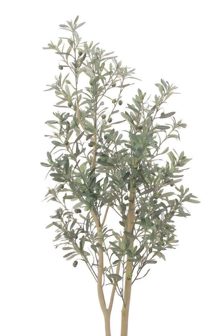 光触媒　人工観葉植物　ウォールグリーン　フェイクグリーン　スリムオリーブ1.6