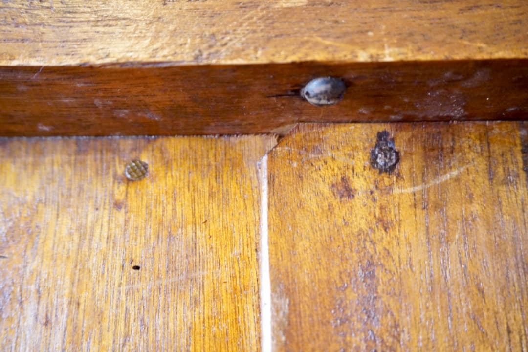 イギリス アンティーク マホガニーキャビネット ロイズアンティークス