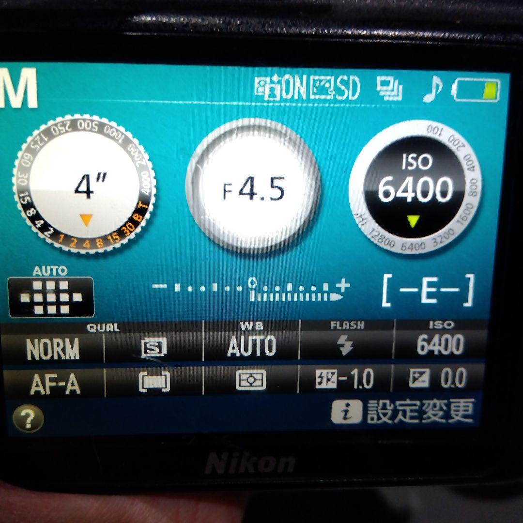 動作確認済み　ニコン　Nikon D3300　バッテリー付属