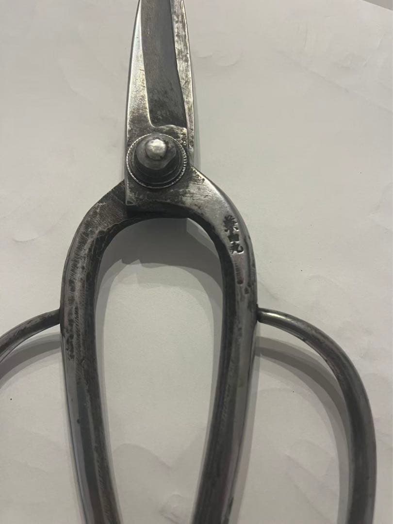 兼由丸 造園 青紙 植木鋏 剪定鋏　植木バサミ　約230mm