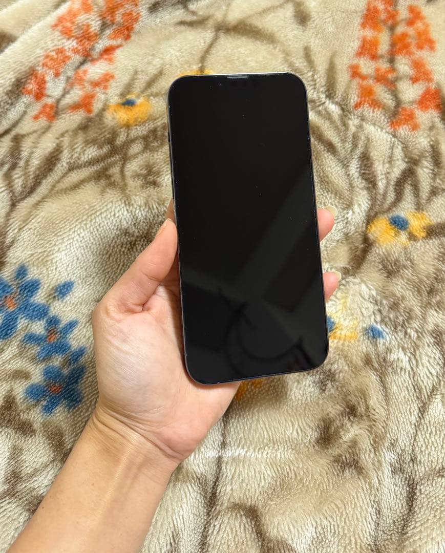 Apple iPhone 13 Pro Max 256GBシエラブルー 本体