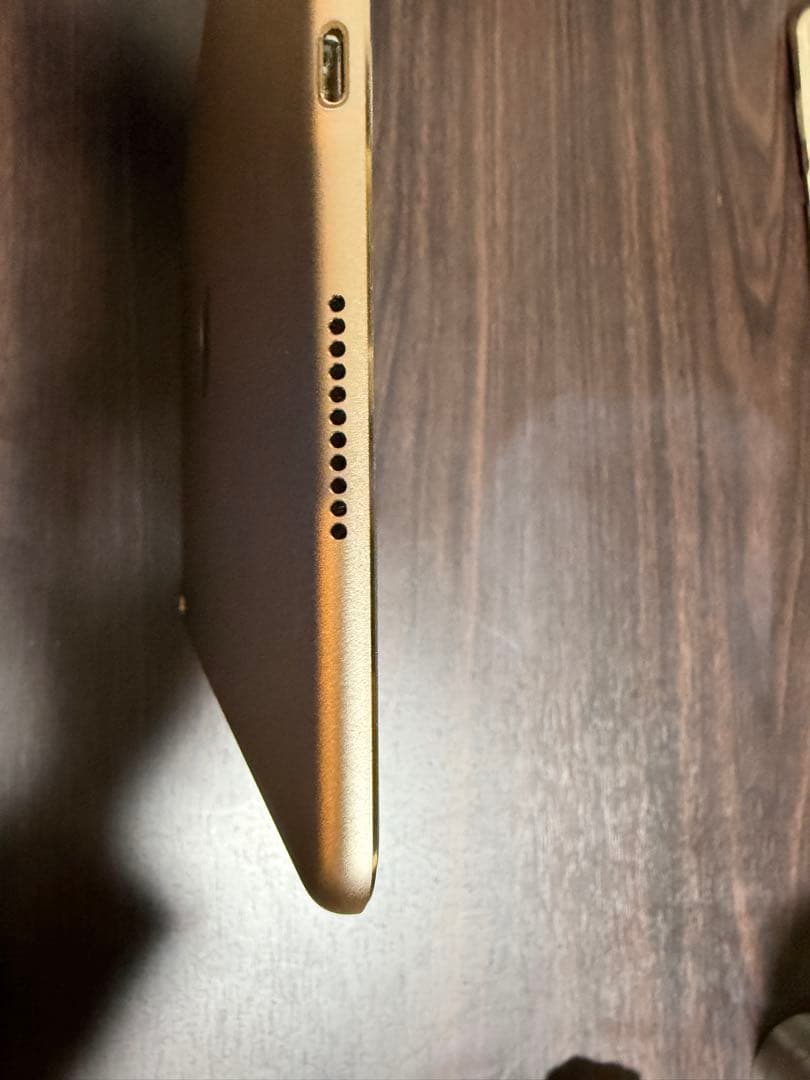 iPad Pro 10.5 Wi-Fi ゴールド256GB 【動作良好美品】