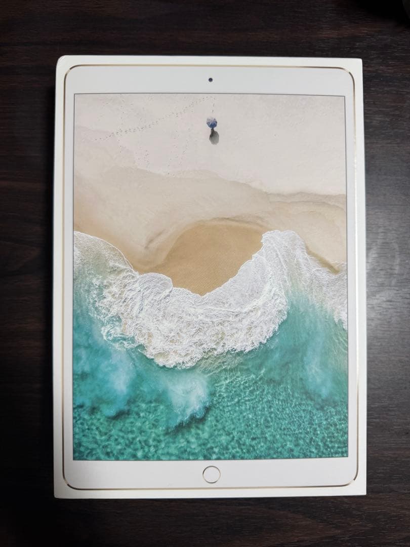iPad Pro 10.5 Wi-Fi ゴールド256GB 【動作良好美品】